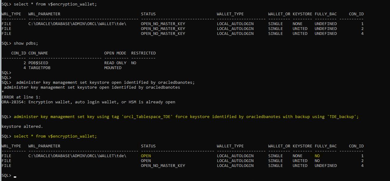Setup TDE Encryption In Oracle 19c Database – DBA Notes